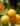Arrell Global Food Innovation Awards 2023