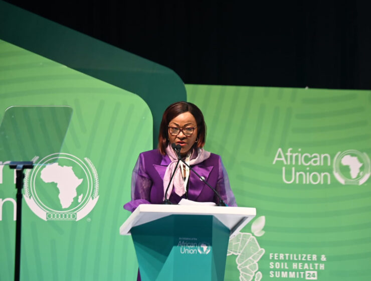 Africa Fertilizer And Soil Health Summit 2024: Africa’s Push For Fertilizer Self-Sufficiency