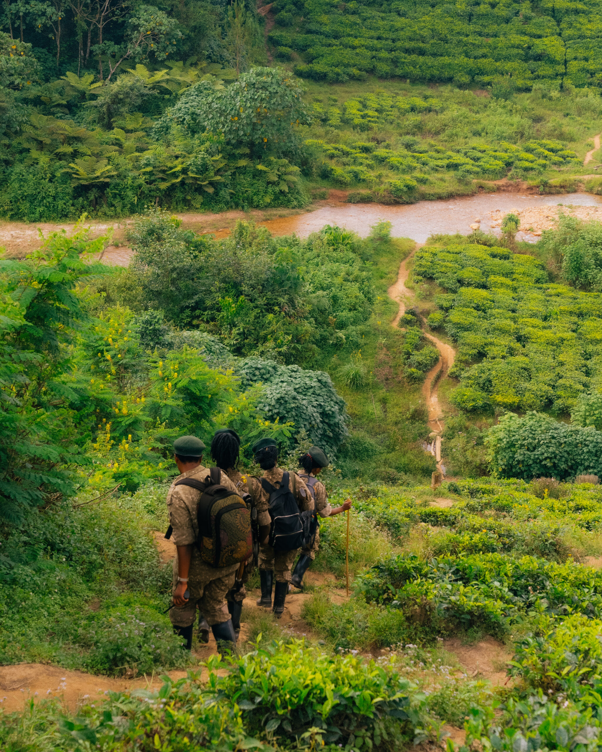 New Film Highlights Resilience Of Ugandan Female Rangers