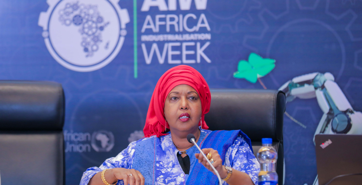 Dr. Ron Osman Omar, Ag. Director of Economic Development, Tourism, Trade, Industry, Minerals (ETTIM) department at the African Union