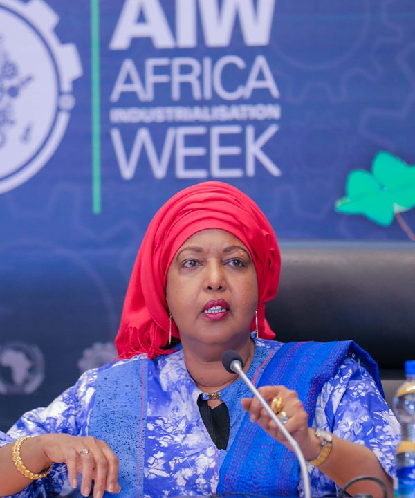 Dr. Ron Osman Omar, Ag. Director of Economic Development, Tourism, Trade, Industry, Minerals (ETTIM) department at the African Union