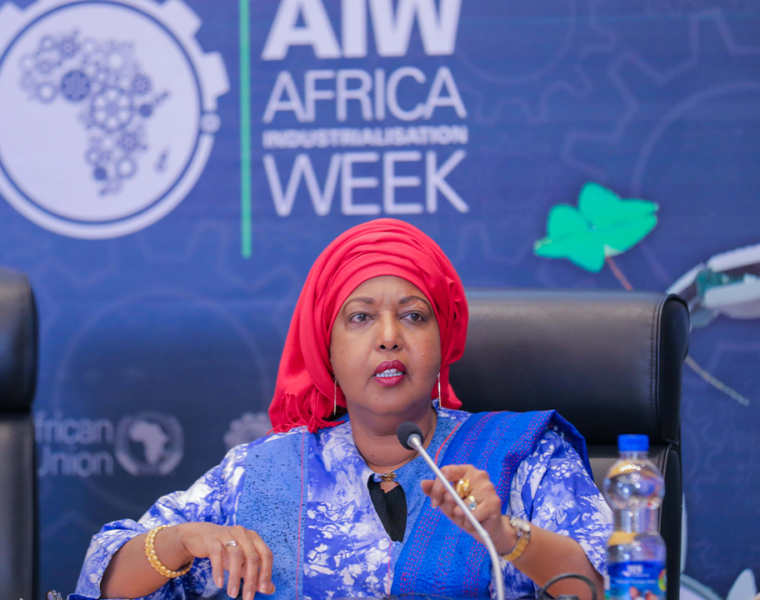 Dr. Ron Osman Omar, Ag. Director of Economic Development, Tourism, Trade, Industry, Minerals (ETTIM) department at the African Union