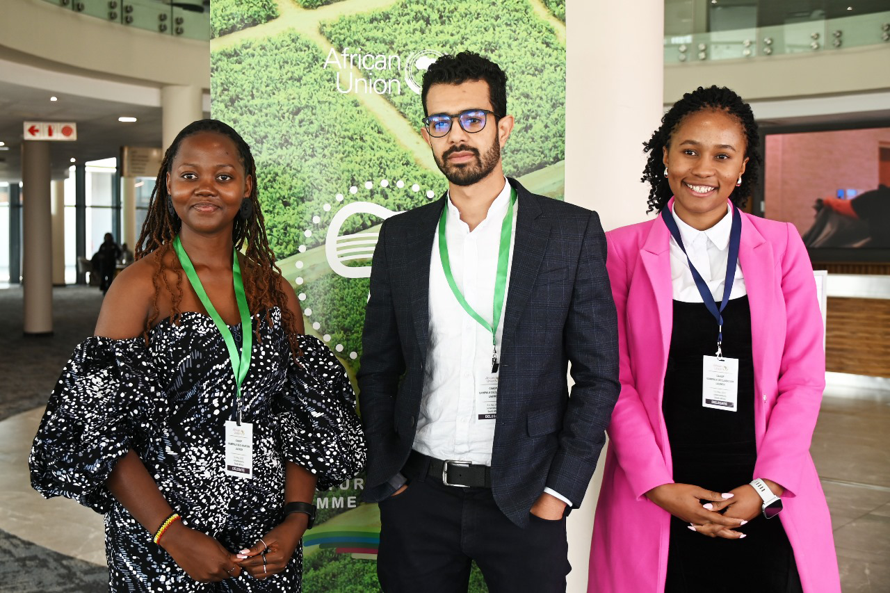 Africa’s Agricultural Reset: The Decade That Will Decide